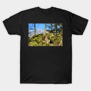 Schweiz / Swiss Artwork Photography T-Shirt